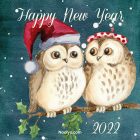New Year Card – Printable, Free – Owls
