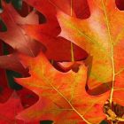 5 Original Twitter Headers 1500×500